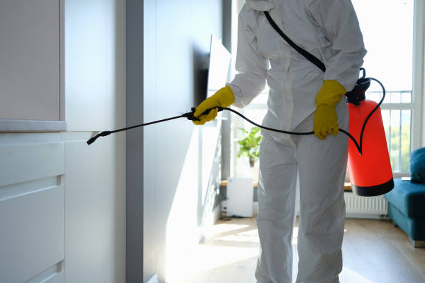 Best Fast Mold Removal  in Bedford Hills, NY