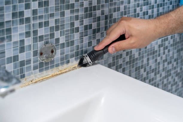 Best Attic Mold Removal  in Bedford Hills, NY